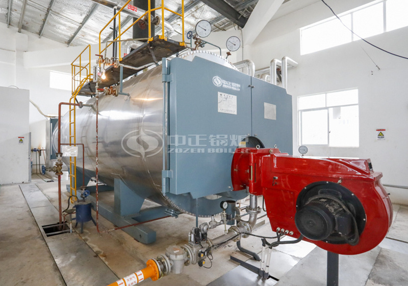 8 tph WNS series condensing gas-fired steam boiler project for food industry