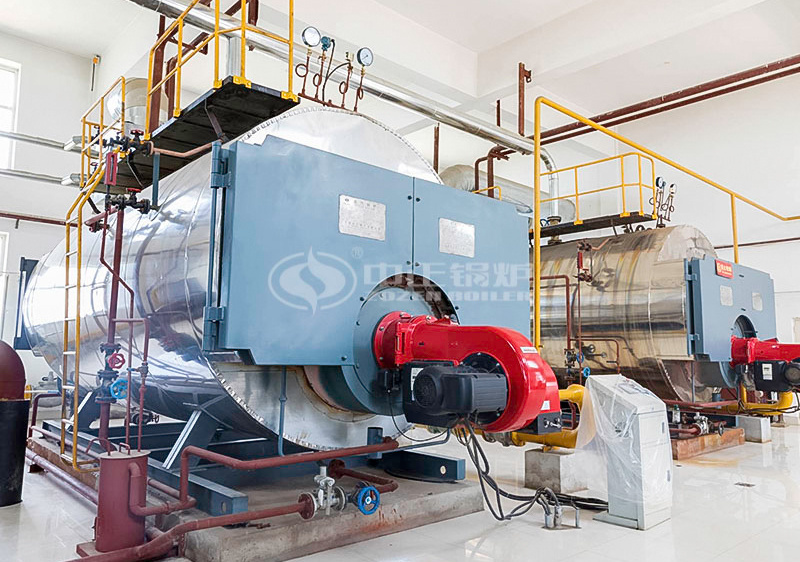 6 tph WNS series condensing gas-fired steam boiler for battery industry