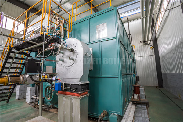 25 tph coal-fired steam boiler in Indonesia