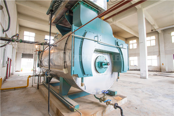25 tph coal-fired steam boiler in Indonesia