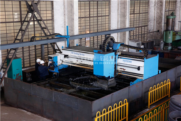 10 tph SZW biomass-fired steam boiler for pharmaceutical factory