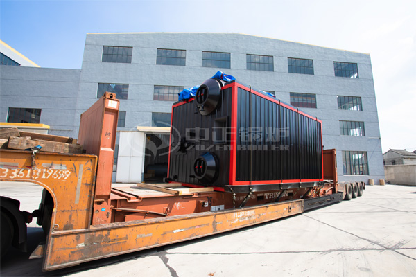 10 tph DZL biomass-fired boiler for heating