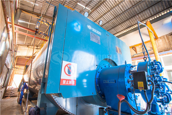 4 tph WNS series gas-fired fire tube boiler project for chemical industry