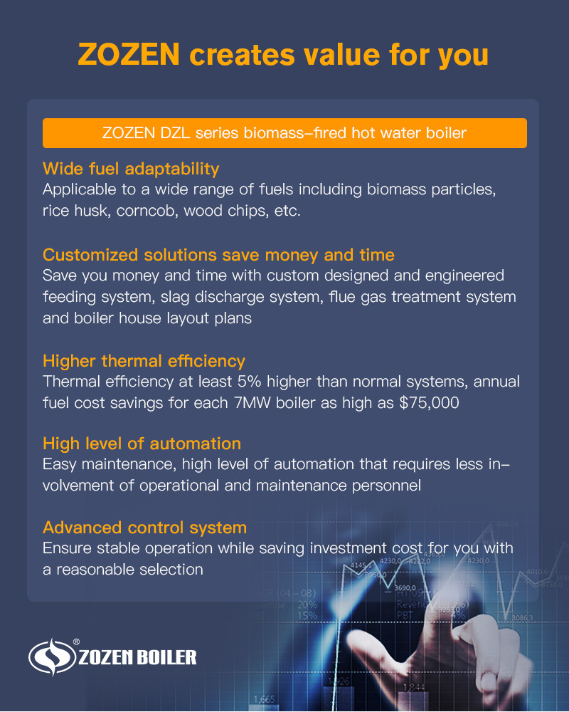 The structure of DZL series biomass-fired hot water boiler